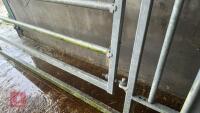 IAE GALVANISED 10' CALVING HURDLE - 21