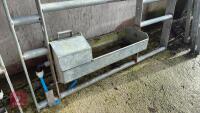 GALVANISED 5' 2'' WATER TROUGH DIVISION - 4