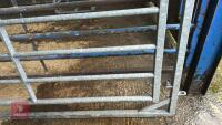 IAE 8' CATTLE HANDLING ACCESS GATE - 4