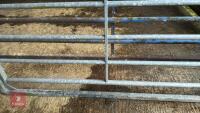 IAE 8' CATTLE HANDLING ACCESS GATE - 5