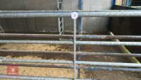 IAE 8' CATTLE HANDLING ACCESS GATE - 6