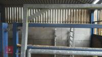 IAE 8' CATTLE HANDLING ACCESS GATE - 7