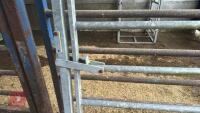 IAE 8' CATTLE HANDLING ACCESS GATE - 8