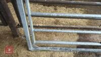 IAE 8' CATTLE HANDLING ACCESS GATE - 9