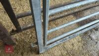 IAE 8' CATTLE HANDLING ACCESS GATE - 10