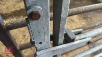 IAE 8' CATTLE HANDLING ACCESS GATE - 11