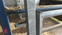 IAE 8' CATTLE HANDLING ACCESS GATE - 12