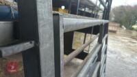 IAE 8' CATTLE HANDLING ACCESS GATE - 13