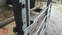 IAE 8' CATTLE HANDLING ACCESS GATE - 14