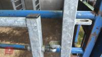IAE 8' CATTLE HANDLING ACCESS GATE - 16