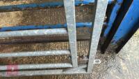 IAE 8' CATTLE HANDLING ACCESS GATE - 17