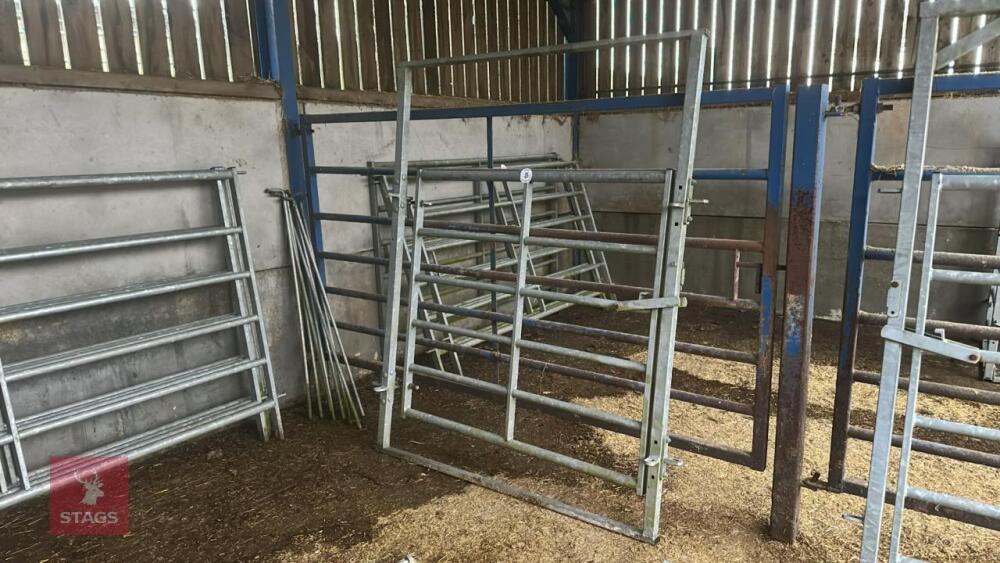 IAE 5' CATTLE HANDLING ACCESS GATE