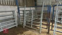 IAE 5' CATTLE HANDLING ACCESS GATE