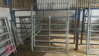 IAE 5' CATTLE HANDLING ACCESS GATE - 2