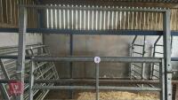 IAE 5' CATTLE HANDLING ACCESS GATE - 3