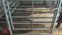 IAE 5' CATTLE HANDLING ACCESS GATE - 4