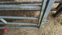 IAE 5' CATTLE HANDLING ACCESS GATE - 5