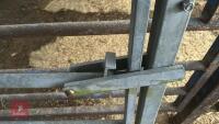 IAE 5' CATTLE HANDLING ACCESS GATE - 6