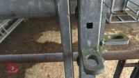 IAE 5' CATTLE HANDLING ACCESS GATE - 7