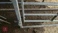 IAE 5' CATTLE HANDLING ACCESS GATE - 8