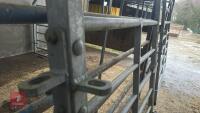 IAE 5' CATTLE HANDLING ACCESS GATE - 10