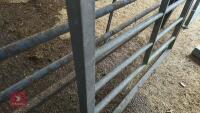 IAE 5' CATTLE HANDLING ACCESS GATE - 11