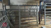 IAE 5' CATTLE HANDLING ACCESS GATE - 13