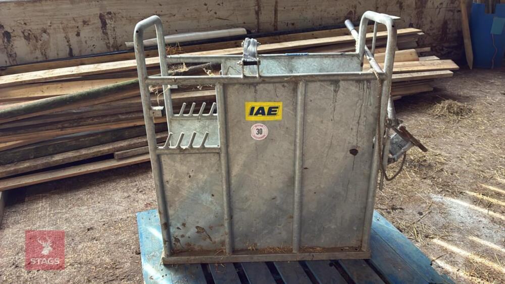 GALVANISED IAE CALF CRATE