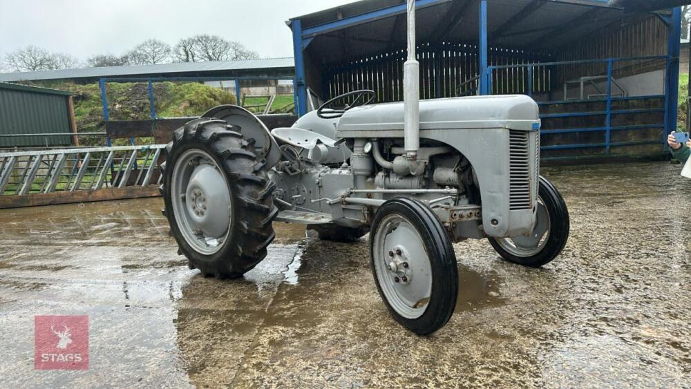 1954 FERGUSON TEF DIESEL T20 2WD TRACTOR