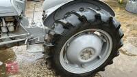 1954 FERGUSON TEF DIESEL T20 2WD TRACTOR - 14