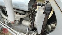 1954 FERGUSON TEF DIESEL T20 2WD TRACTOR - 51