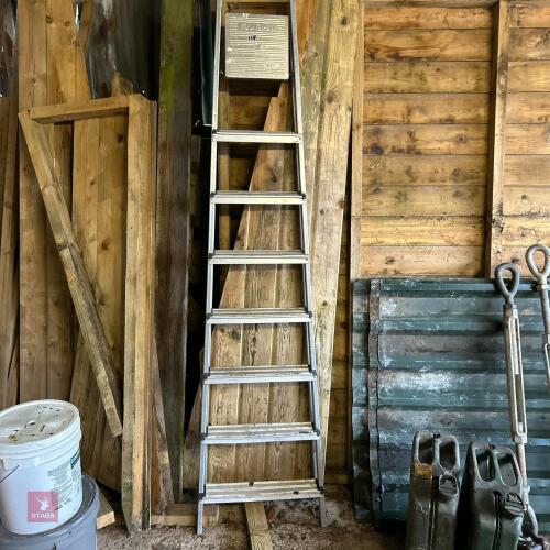 YOUNGMAN AI STEPLADDER
