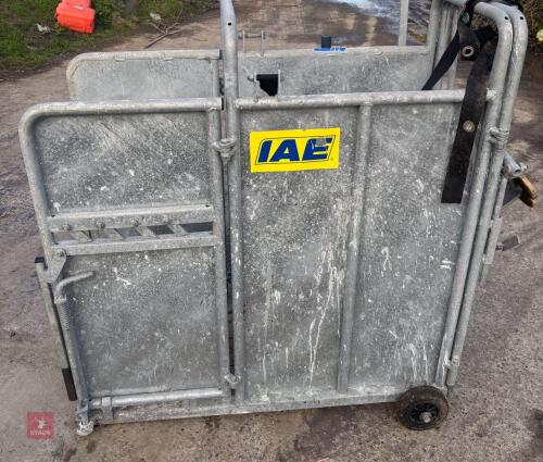 IAE LARGE CALF DEHORNING CRATE