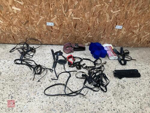 BAG OF ASSORTED HORSE TACK
