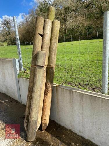 6 USED WOODEN FENCING POSTS