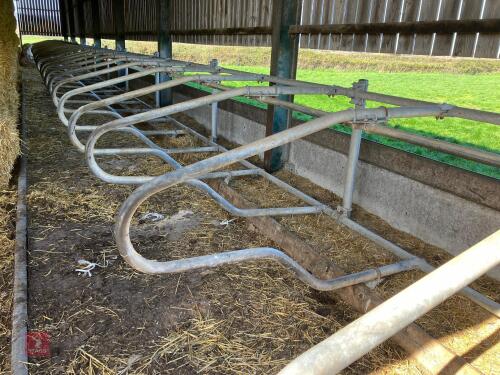 50 GALVANISED IAE SUPER COMFORT CUBICLES
