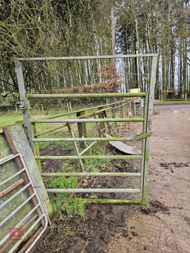 IAE 4' GALVANISED CATTLE HANDLING GATE