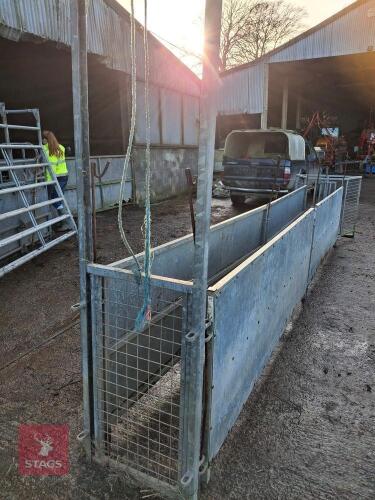 BATEMAN SHEEP HANDLING SYSTEM