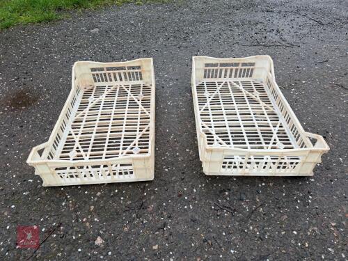 50 VEGETABLE STORAGE TRAYS