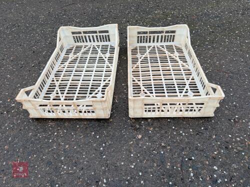 50 VEGETABLE STORAGE TRAYS