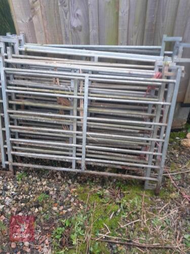 11 X 4' HURDLES