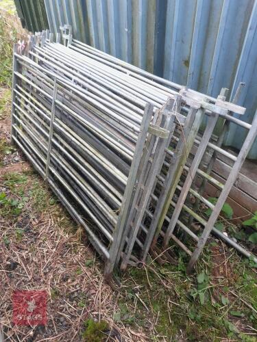 14 X 6' HURDLES