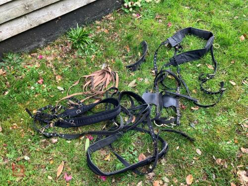 WEBBING HARNESS