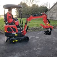 HORNET HT15LKS-2 1.5T MINI DIGGER - 11