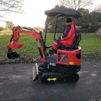 HORNET HT15LKS-2 1.5T MINI DIGGER - 12