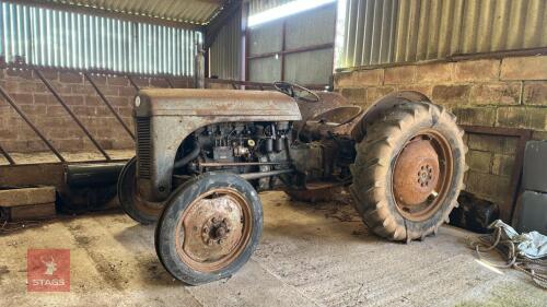 1955 FERGUSON TEF DIESEL T20 2WD TRACTOR