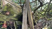 VINTAGE THRESHING MACHINE (S/R) - 6