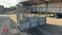 BATEMAN GALVANISED CATTLE CRUSH