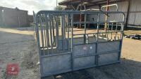 BATEMAN GALVANISED CATTLE CRUSH - 2
