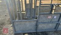 BATEMAN GALVANISED CATTLE CRUSH - 3